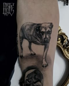 a black and white photo of a dog on the left arm with an image of a cat next to it