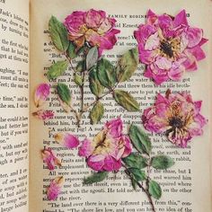 an open book with pink flowers on it