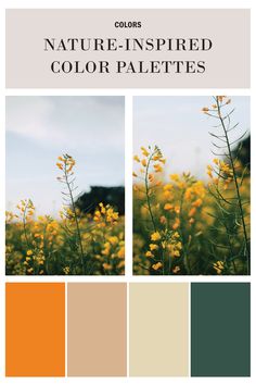 Unleash your creativity with these beautiful color palettes inspired by nature and our coloring books! Explore various combinations to bring your illustrations to life and enhance your artistic journey. Pin and follow us for more color inspiration. Nature Inspiration