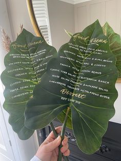 a person holding up a large green leaf with writing on the leaves in front of a mirror