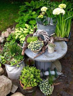 several potted plants are sitting on an old table in the middle of a garden