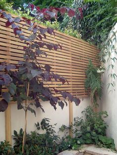 a wooden fence with plants growing on it in a garden area next to a white wall