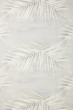 a white and gold wallpaper with palm leaves on it