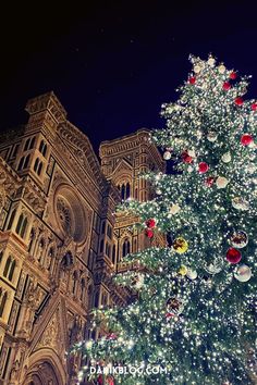 a large christmas tree in front of a building with lights on it's branches