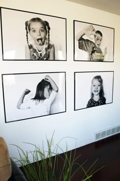 four black and white photos hang on the wall above a plant in a living room