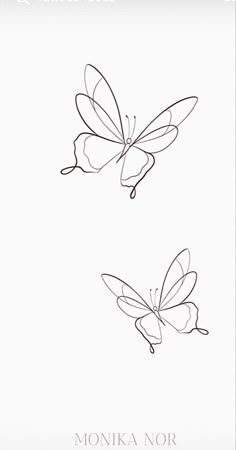 two butterflies flying side by side on a white background with the words monika nor written in