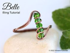 a close up of a ring on top of a rock with leaves in the background