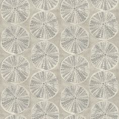 Sample Sea Biscuit Grey Sand Dollar Wallpaper Dollar Wallpaper, Strip Wallpaper, Sea Biscuit, Stripped Wallpaper, Coastal Wallpaper, Trellis Wallpaper, Go Wallpaper, Wallpaper For Sale, Sand Dollars