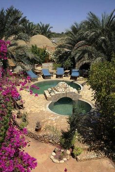 an outdoor pool surrounded by palm trees and purple flowers in the foreground, with lounge chairs on either side