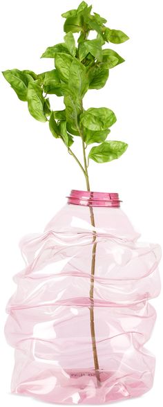 a green plant in a pink vase on a white background