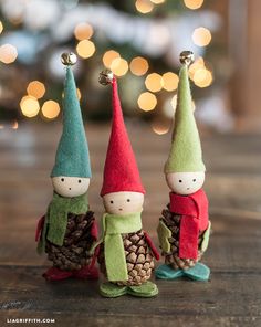 two little gnomes are standing next to each other with pine cones in their hands