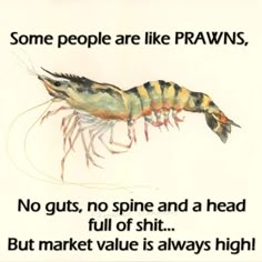 some people are like prawns Said Quotes, Funny Words To Say, Proverbs Quotes, Well Said Quotes, Cute Images With Quotes, Fake People, Images With Quotes