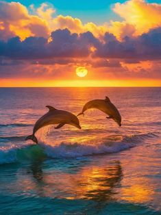 two dolphins jumping out of the water at sunset