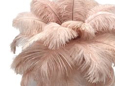 an ostrich feather arrangement is shown in this image, it appears to be pink