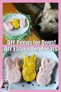 two plates with dog treats on them and the words diy pees for dogs