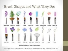 the brush shapes and what they do