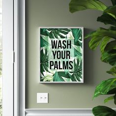 a green plant is next to a white door with the words wash your palms on it