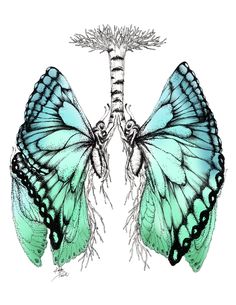 a drawing of two butterflies with the words breathing written on their wings and underneath them