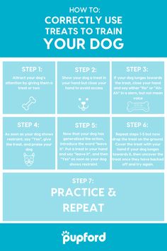 the instructions for how to train your dog