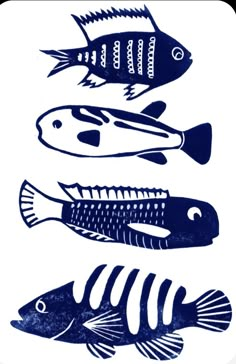 three different types of fish in blue and white on a white background, each with an individual's own name