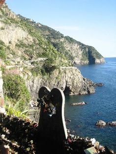 a view of the ocean and cliffs from a cliff side area with flowers growing on it