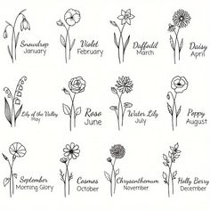 an image of different flowers with names on the stems and petals in each flower head