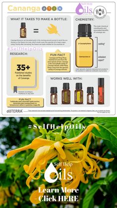 Floral Essential Oils, Ylang Ylang Flower, Doterra Oils, Oil Uses, Improve Mood, Essential Oil Uses, Doterra Essential Oils, Ylang Ylang