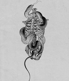 a black and white drawing of a skeleton with a snake on it's back