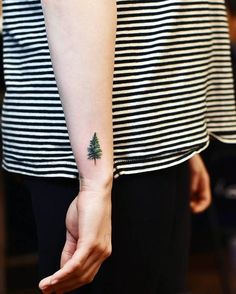 a small pine tree tattoo on the left inner forearm and wristband, with black stripes