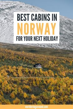 the words best cabins in norway for your next holiday