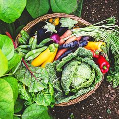 a basket filled with lots of different types of veggies next to green leaves