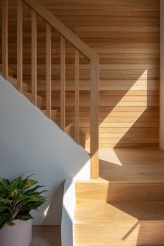 a plant in a pot sitting on the floor next to a stair case with wooden slats