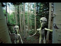 two alien like people standing in the woods