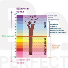 pH ресниц Dermatological Skin Care, Beauty Salon, Bar Chart, Lashes, Skin Care, Beauty