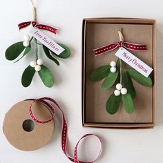 two christmas decorations in a box next to a ribbon and tag with the words merry christmas written on it