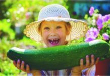 National Gardening Week Salad Leaves, Recipe Inspiration, Rhubarb, Food Inspiration, Cucumber, Zucchini, New Zealand, Herbs, Courgettes