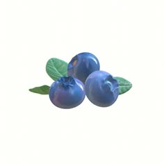 three blueberries with green leaves on them are shown in front of a white background