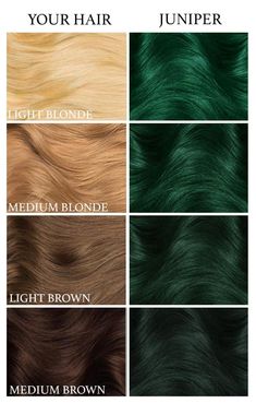 Dark and luscious, our deep colors feature velvet tones that are highly pigmented to last long and create richer tones. Juniper Green is a one-of-a-kind dark green hair dye with black undertones. Ingredients Water/Aqua/Eau, Cetyl alcohol, Stearyl alcohol, Behentrimonium chloride, Glycerin, Stearalkonium chloride, Cetrimonium chloride, Carthamus tinctorius (hybrid safflower) seed oil, Sorbic acid, Hydrolyzed oat protein, Hydrolyzed rice protein, P Juniper Green Hair, Dark Green Hair Dye, Dark Red Hair Dye, Green Hair Men, Orange Ombre Hair, Black And Green Hair, Dark Green Hair, Green Hair Dye, Juniper Green