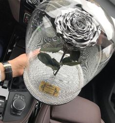 a person holding a glass plate with a rose in it on top of a car dashboard