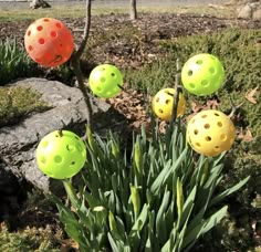 some yellow and red balls are in the grass near green plants with leaves on them