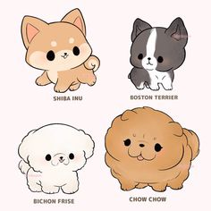 four different types of dogs with their names