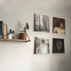 there are many pictures on the wall with books and plants in front of each one