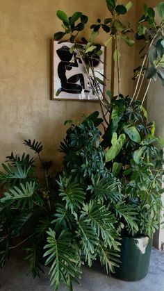 two potted plants sitting next to each other in front of a painting on the wall