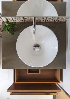 a bathroom sink sitting on top of a wooden shelf next to a potted plant