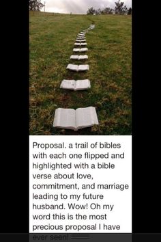 an open book sitting on top of a grass covered field next to a line of books