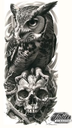 an owl sitting on top of a skull