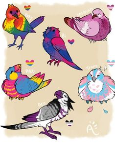 six colorful birds with hearts in the background