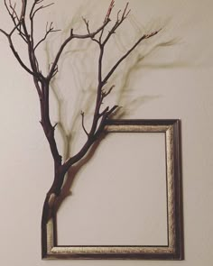 a bare tree with no leaves in front of a frame