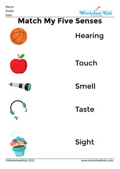 match sense and objects Senses Worksheets For Kids, 5 Senses Worksheet For Grade 1, Sense Organs Flashcards, My Body Worksheet Grade 1, Five Sense Organs Worksheet, Sense Organs Worksheets For Grade 1, Five Senses Grade 1