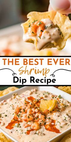 the best ever shrimp dip recipe